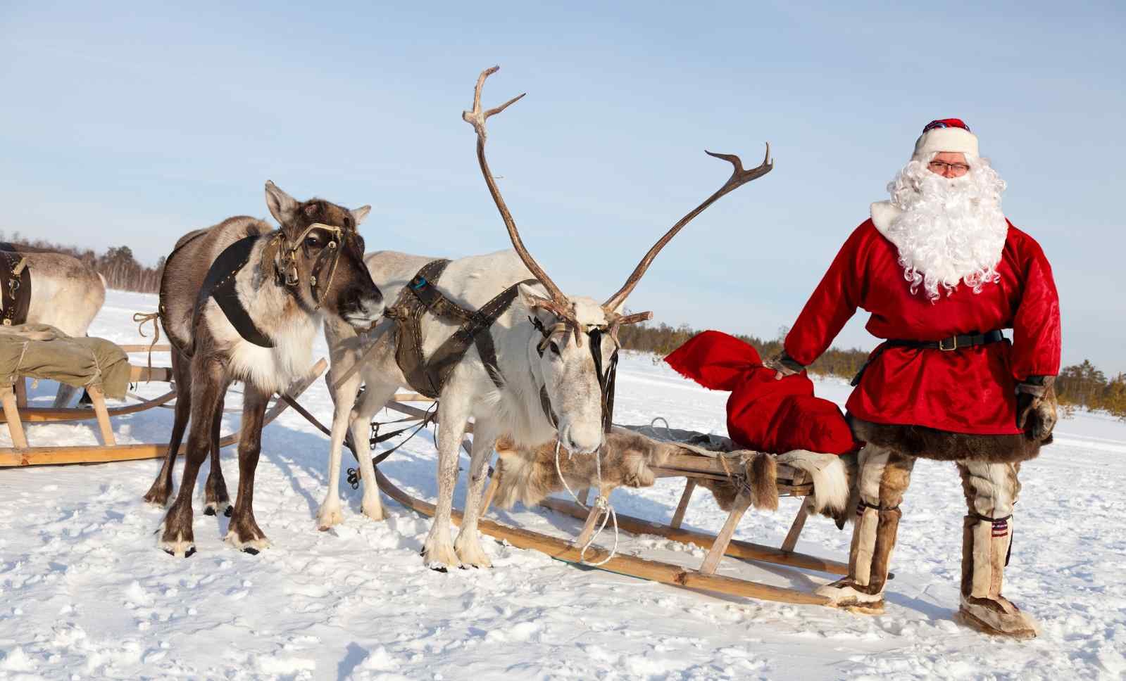 What species are Santa's reindeer?