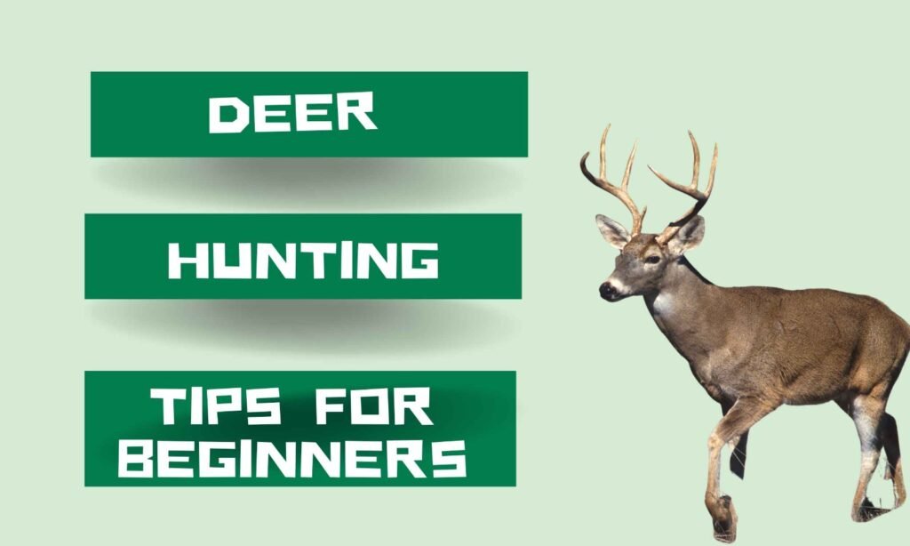 In Deer Hunting Tips for Beginners