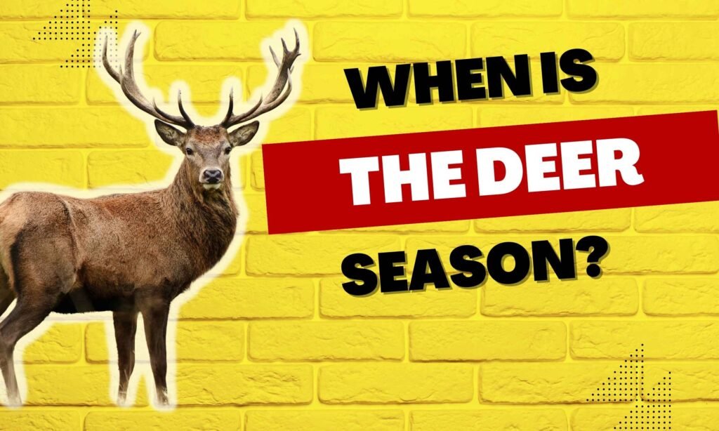 when is deer season
