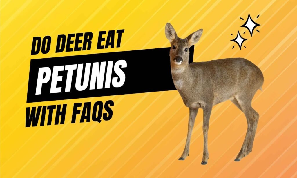 Do Deer Eat Petunias