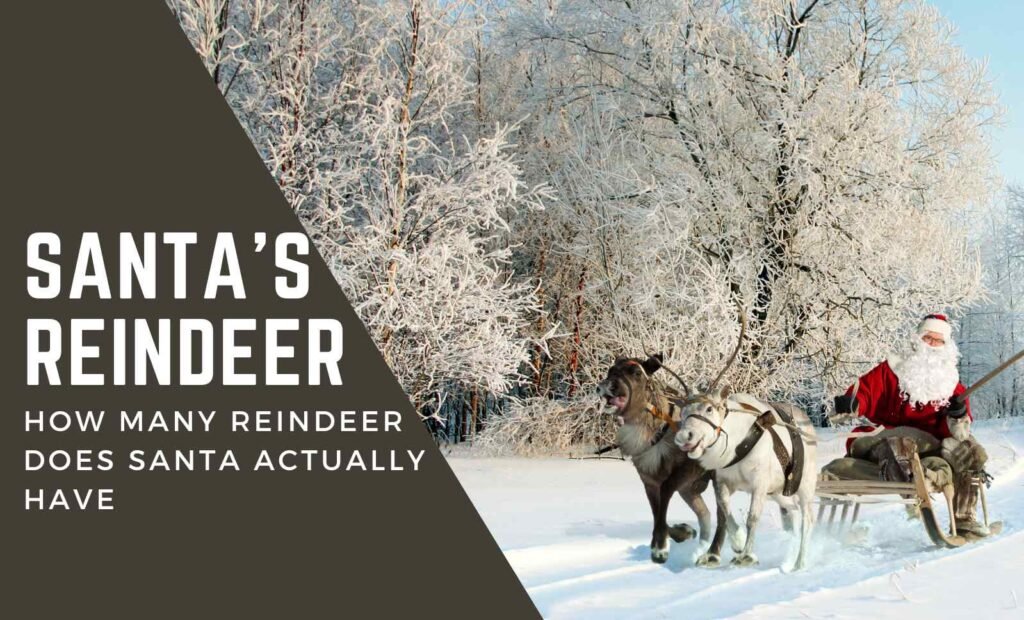 How Many Reindeer Does Santa Actually Have? The Full List Revealed