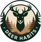 Deer Habits Your Love with Deer